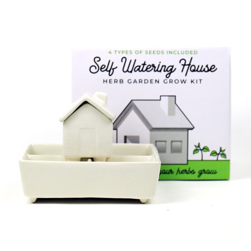 Self Watering Herb House Grow Kit for Kitchen Herbs
