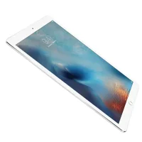 iPad Pro 1st Gen 9.7